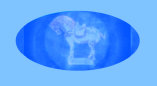 04030902_cowan_art_deco_art_pottery_studios001014.jpg